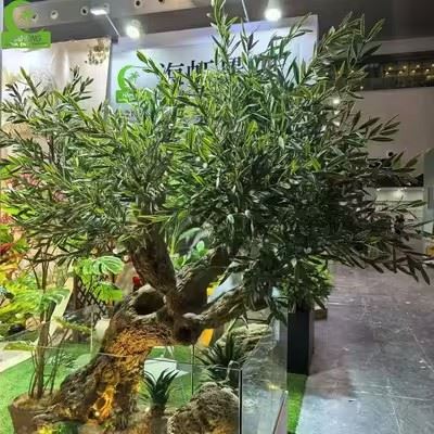 Large Artificial Olive Both Indoor And Outdoor Use factory