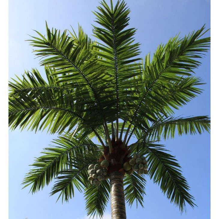 Artificial Coco Tree